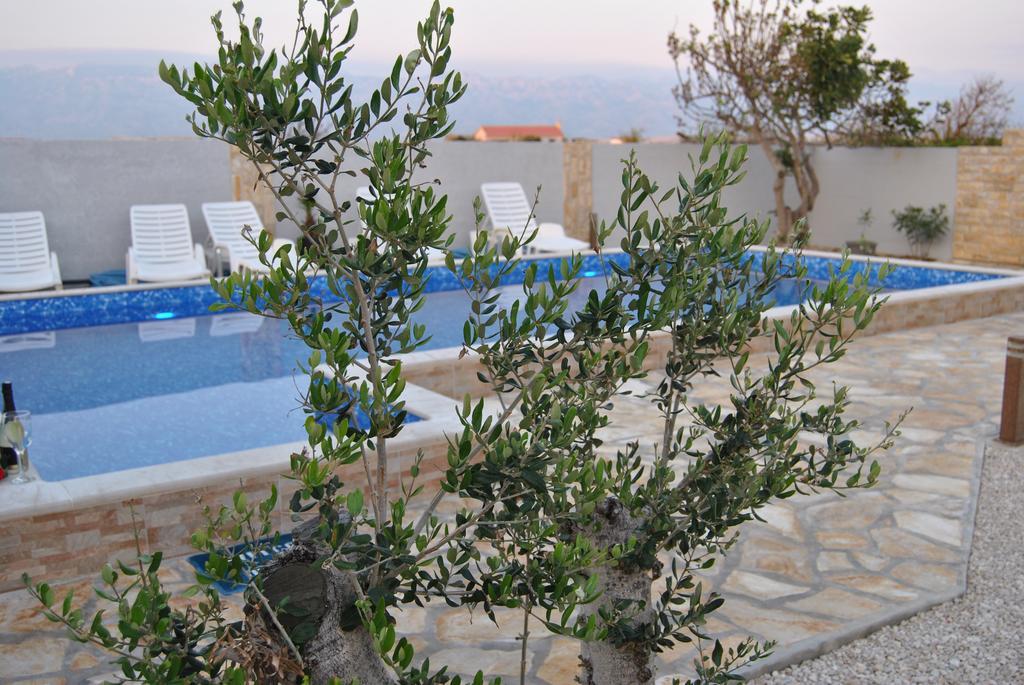 House With Swimming Pool Blue Diamond Appartement Povljana Buitenkant foto